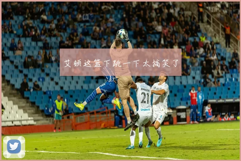 艾顿这篮下跳一下太搞笑了