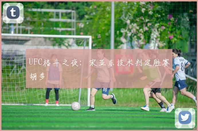 UFC格斗之夜：宋亚东技术判定胜赛胡多