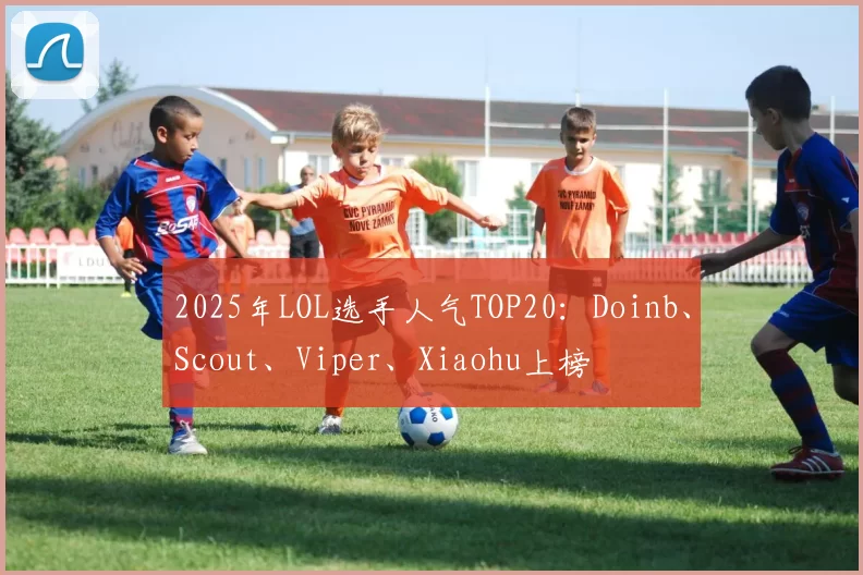 2025年LOL选手人气TOP20：Doinb、Scout、Viper、Xiaohu上榜
