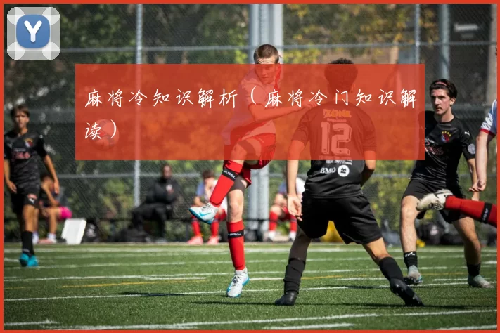 麻将冷知识解析（麻将冷门知识解读）