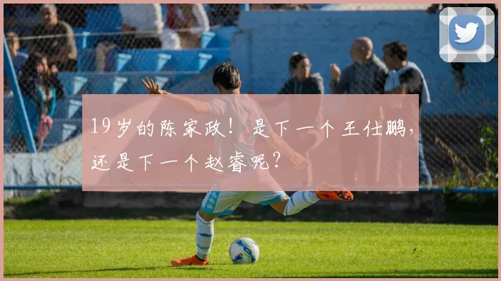 19岁的陈家政！是下一个王仕鹏，还是下一个赵睿呢？