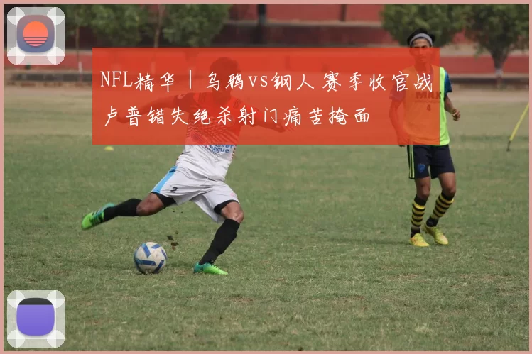 NFL精华｜乌鸦vs钢人 赛季收官战卢普错失绝杀射门痛苦掩面