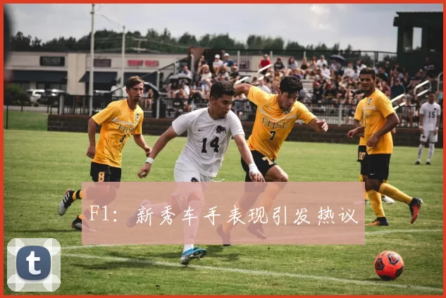 F1：新秀车手表现引发热议
