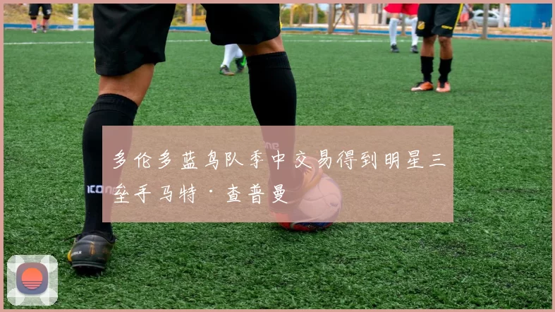 多伦多蓝鸟队季中交易得到明星三垒手马特·查普曼