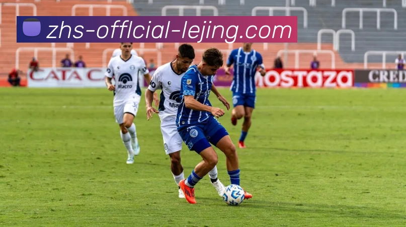 乐竞体育平台生态图